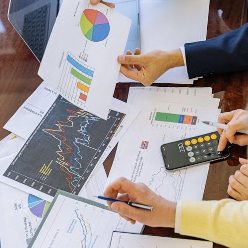 people working with documents showing charts.